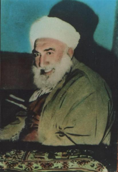 Cevaplar Org
