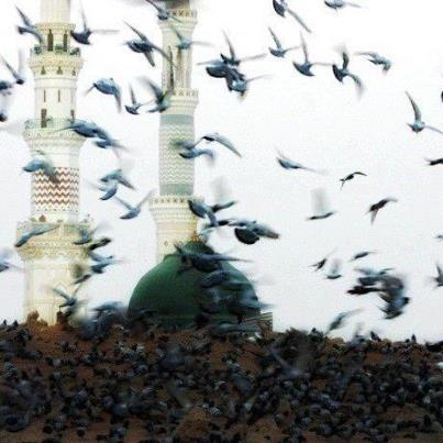 ASHAB-I KİRAM HAKKINDA BUNLARI BİLİYOR MUYDUNUZ?-25