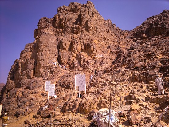 UHUD GÜLLERİNE