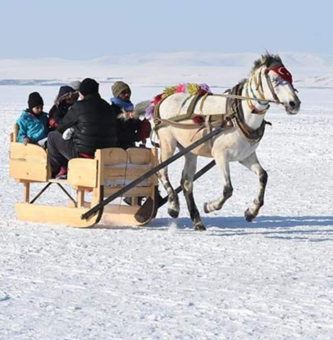 ŞEFKAT ARAS’A MEYDAN OKUYORDU