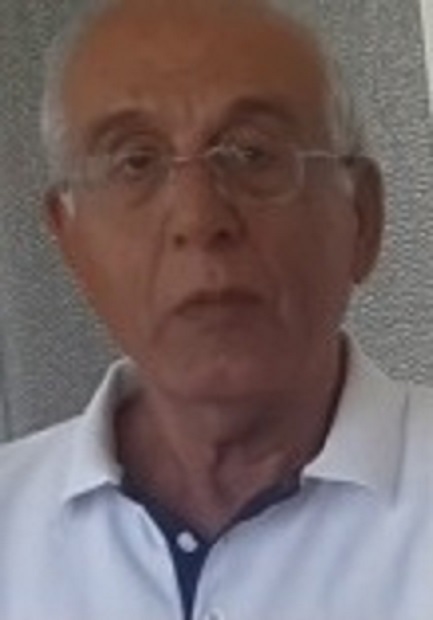 HASAN HALICI(1940 -)