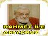 VE GELİR