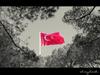 BİR BAYRAK RÜZGÂR BEKLİYOR!