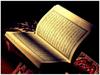 İSLAM SAYESİNDE