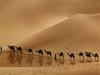 ARAB'I SEVMEKLE İLGİLİ HADİSLER