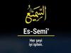 ES-SEMİ