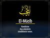EL-MUCÎB