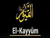 EL-KAYYÛM