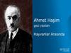 HÜZÜNLÜ BİR HAYVANAT BAHÇESİ GEZİSİ