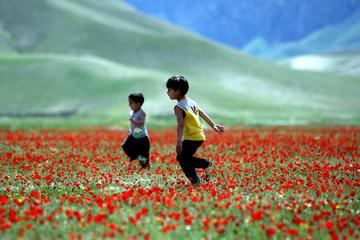 BAHAR'IN HATIRLATTIKLARI
