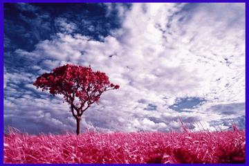 ASHAB-I KİRAM HAKKINDA BUNLARI BİLİYOR MUYDUNUZ?-23