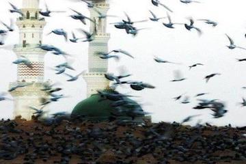 ASHAB-I KİRAM HAKKINDA BUNLARI BİLİYOR MUYDUNUZ?-25