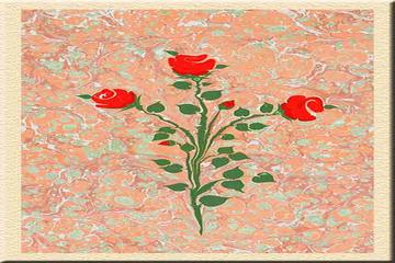 ASHAB-I KİRAM HAKKINDA BUNLARI BİLİYOR MUYDUNUZ?-41