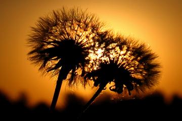 ASR-I SAADET HATIRALARI-48