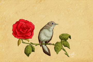 ASHAB-I KİRAM HAKKINDA BUNLARI BİLİYOR MUYDUNUZ?-58