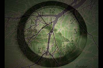 RAHMAN İSMİNİN YANSIMALARI