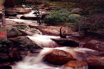 ASHAB-I KİRAM HAKKINDA BUNLARI BİLİYOR MUYDUNUZ?-67