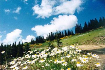 ASHAB-I KİRAM HAKKINDA BUNLARI BİLİYOR MUYDUNUZ?-84