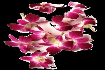 ZÜBEYR BİN AVVAM(R.A)HAKKINDA BUNLARI BİLİYOR MUYDUNUZ?