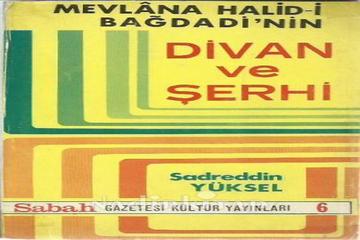 MEVLANA HALİD-İ BAĞDADİ HAZRETLERİNİN BİR SEYYİDE SAYGISI