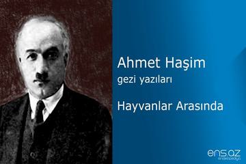 HÜZÜNLÜ BİR HAYVANAT BAHÇESİ GEZİSİ