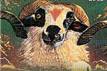 KURBAN İBADETİ HAKKINDA EN ÇOK SORULANLAR