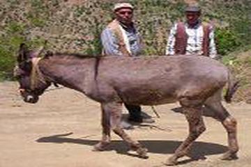 BİR HOCANIN SORUŞU BAŞKA OLUR