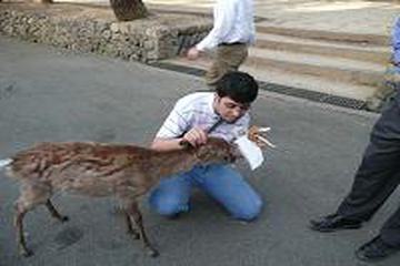 YERYÜZÜNÜN YÜZ AKI MÜSLÜMANLAR