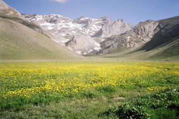 ANADOLU BAHAR