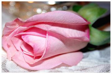 HZ. ZEYNEB BİNTİ RASÛLULLAH (R.ANHA)