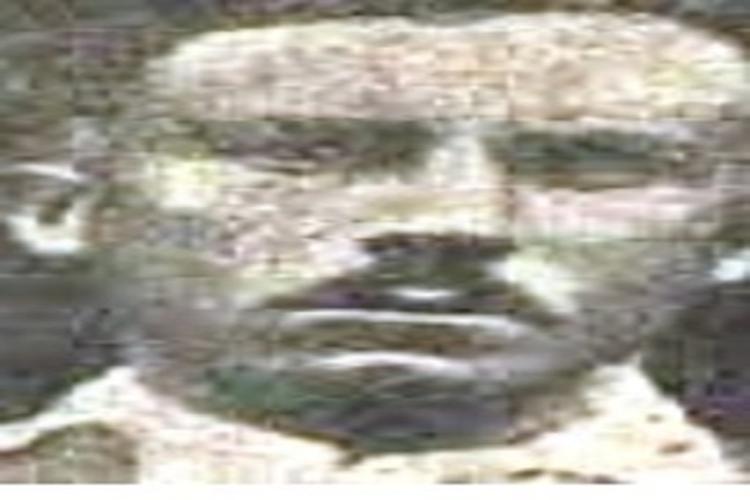Content Image