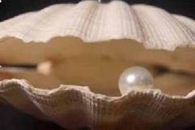 Content Image