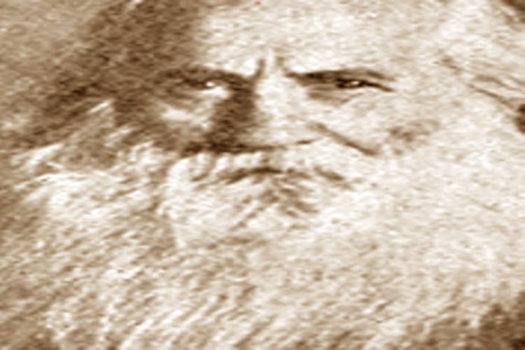 Content Image