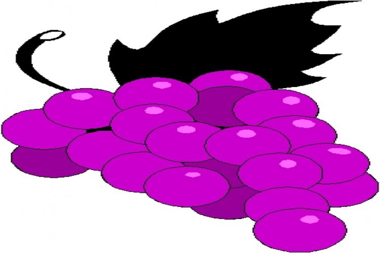 Content Image