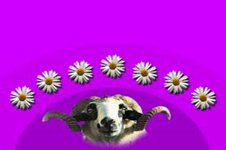 Content Image